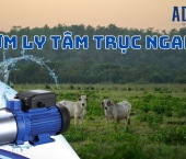 Bơm Ly Tâm Trục Ngang Cho Nông Nghiệp: Hiệu Quả và Tiết Kiệm Năng Lượng