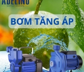 Bơm Tăng Áp Cho Gia Đình - Giải Pháp Hiệu Quả Để Cải Thiện Áp Lực Nước