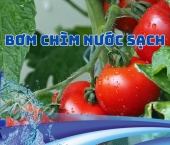 Chọn Mua Bơm Chìm Nước Sạch Đúng Cách: Hướng Dẫn và Lời Khuyên