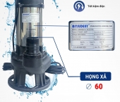Có nên dùng bơm chìm GNWQD10-10-0.75S cho hồ cá, tiểu cảnh?
