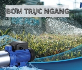 Khám Phá Sức Mạnh của Bơm Trục Ngang trong Nông Nghiệp và Công Nghiệp